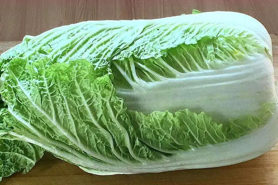 白菜需要放冰箱吗 白菜有哪些价值