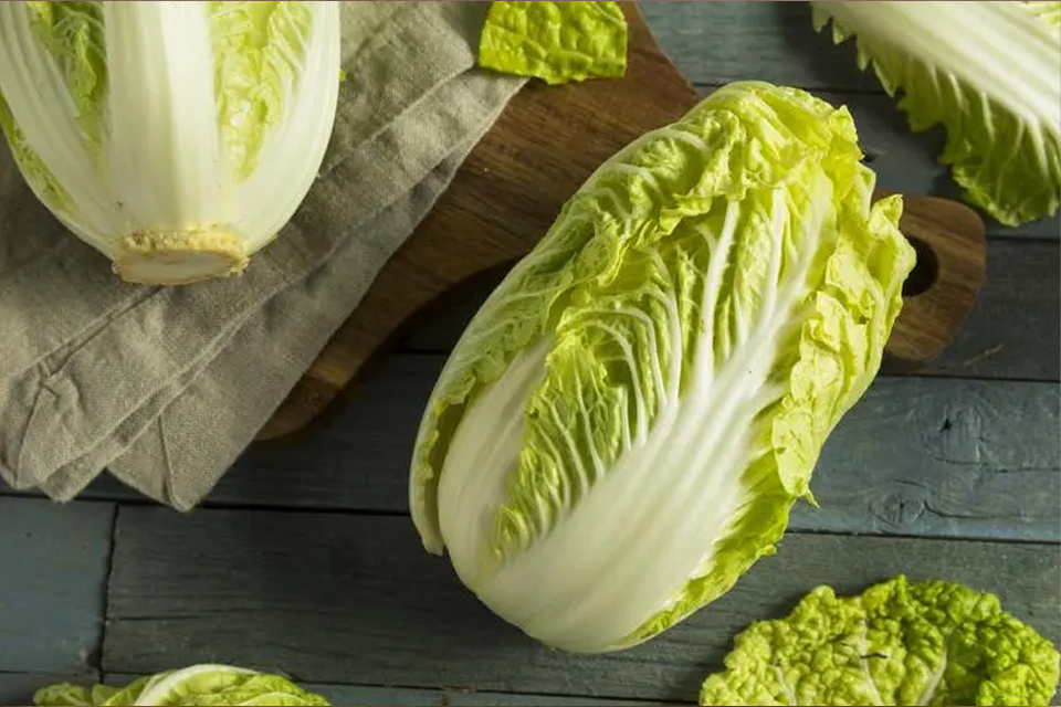 白菜需要放冰箱吗 白菜有哪些价值