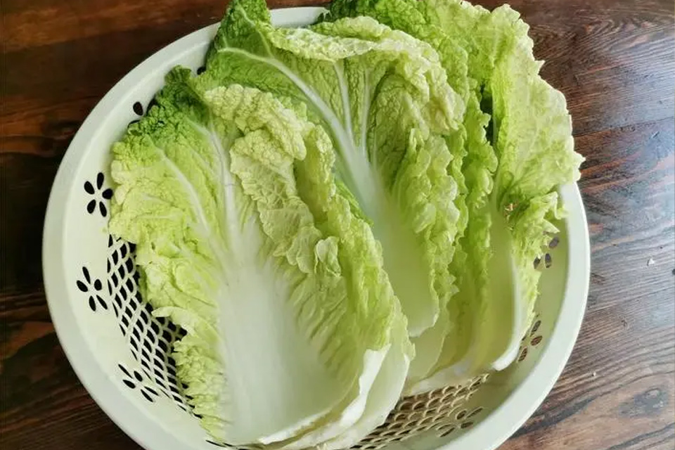 白菜需要放冰箱吗 白菜有哪些价值
