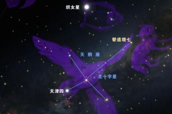 宇宙最大星球十大排名，维斯特卢1-26排第四，榜首质量第二大