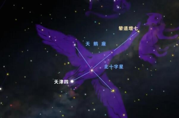 宇宙十大特超巨星，维斯特卢排在第四，榜首最重最大