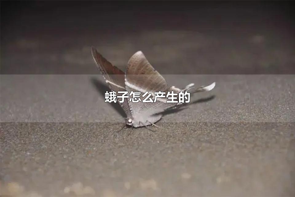 蛾子怎么产生的 家里飞的小蛾子有毒吗