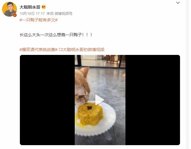 一只鸭子能有多欠