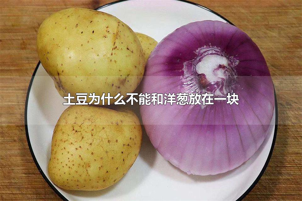 土豆为什么不能和洋葱放在一块 存放蔬菜的方法