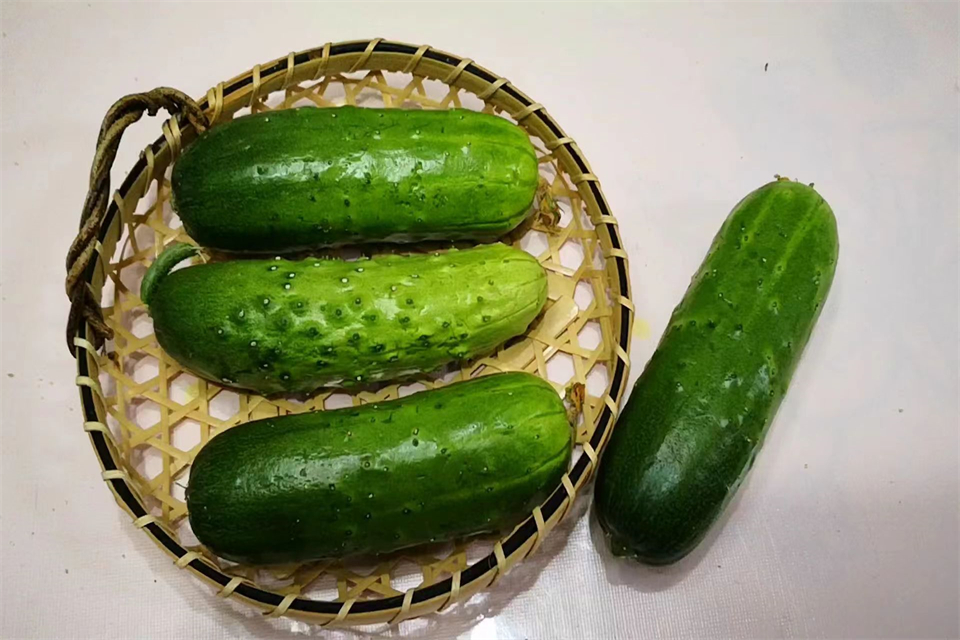 土豆为什么不能和洋葱放在一块 存放蔬菜的方法