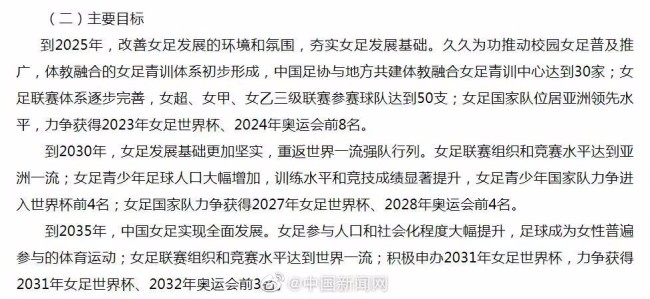 姑娘们，加油！中国将申办2031年女足世界杯