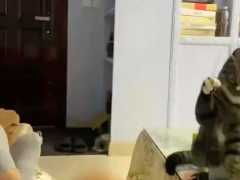 第一次见猫咪逗人玩 猫咪骂骂咧咧：你跳起来啊！