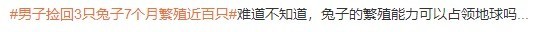 小身躯大能量！男子捡回3只兔子7个月繁殖近百只