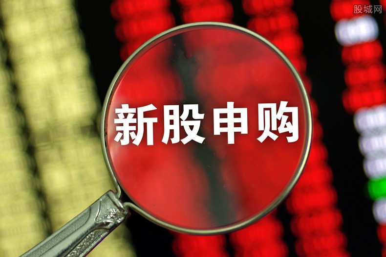 雅葆轩新股申购