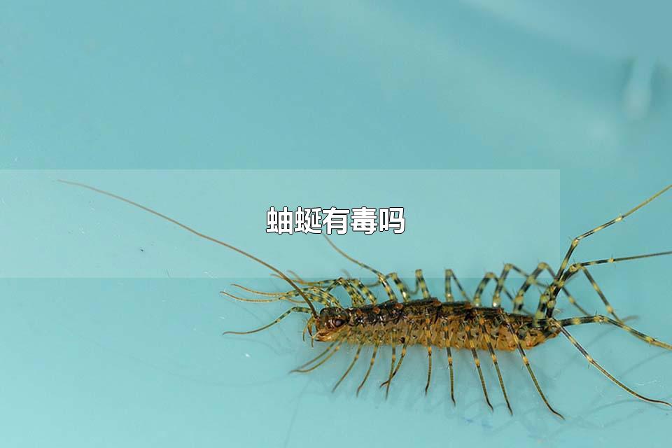 蚰蜒有毒吗 蚰蜒是害虫吗