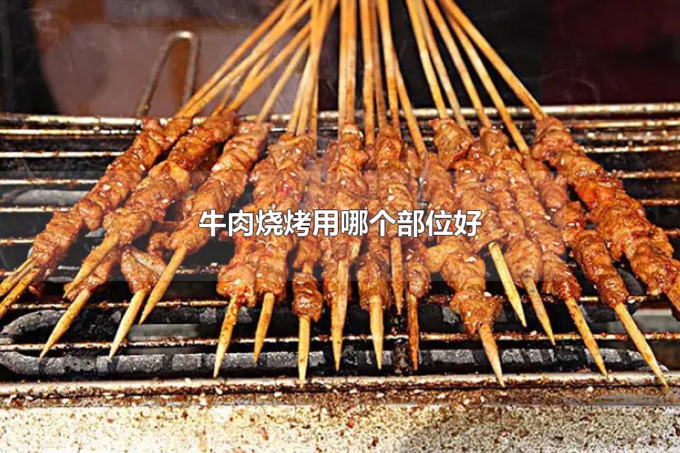 牛肉烧烤用哪个部位好 牛肉蛋白质含量多少