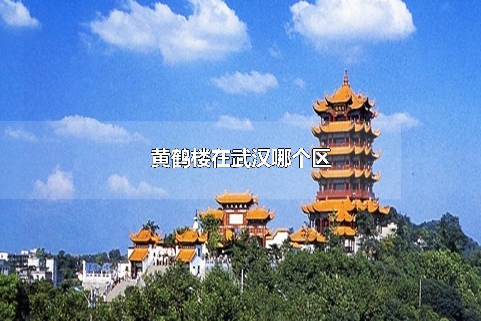 黄鹤楼在武汉哪个区 黄鹤楼是旅游景区吗