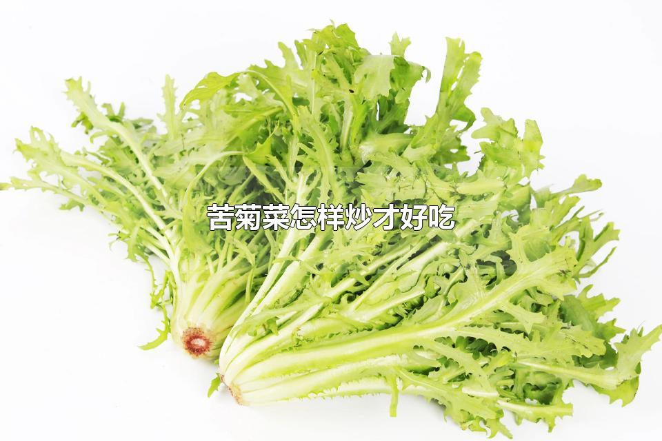 苦菊菜怎样炒才好吃 苦菊菜的根可以吃吗