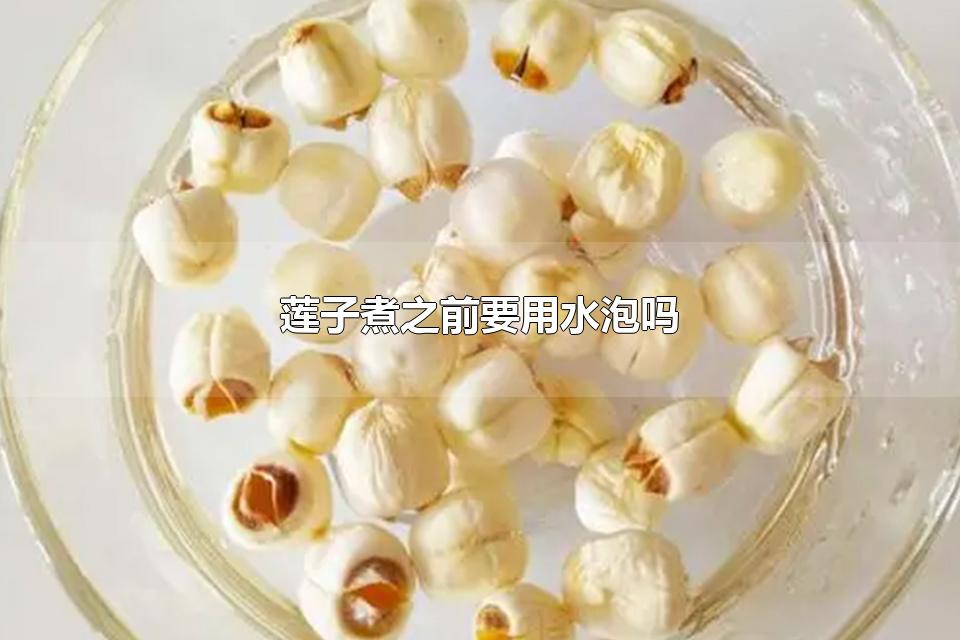 莲子煮之前要用水泡吗 莲子能长时间浸泡吗