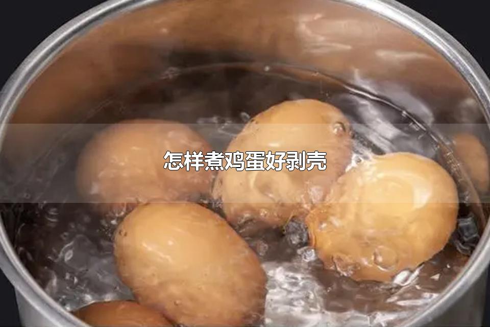 怎样煮鸡蛋好剥壳 白水煮鸡蛋怎样去腥