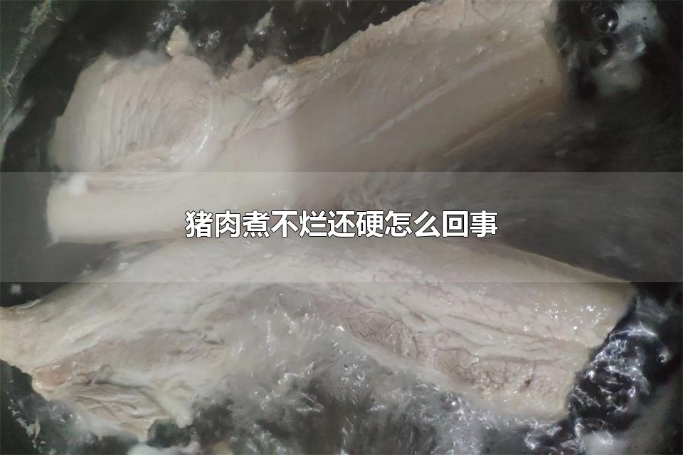 猪肉煮不烂还硬怎么回事 炖猪肉前需要注意什么