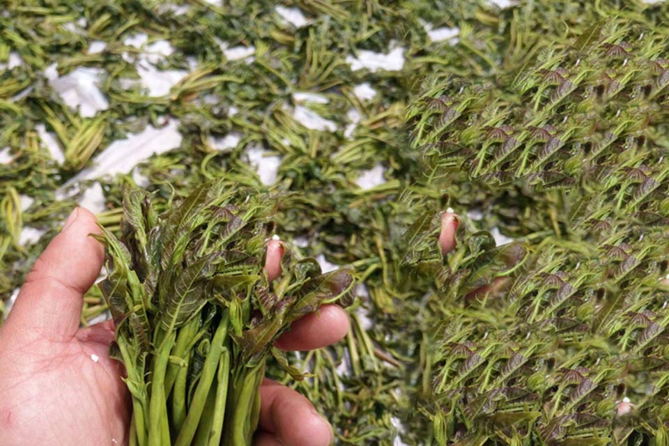 香椿咸菜怎么做好吃 香椿咸菜可以多吃吗