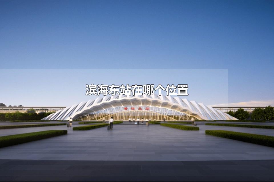 滨海东站在哪个位置 滨海在哪里