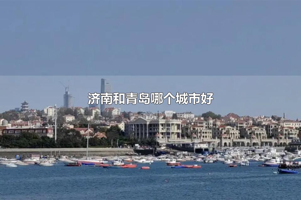 济南和青岛哪个城市好 济南有哪些大学