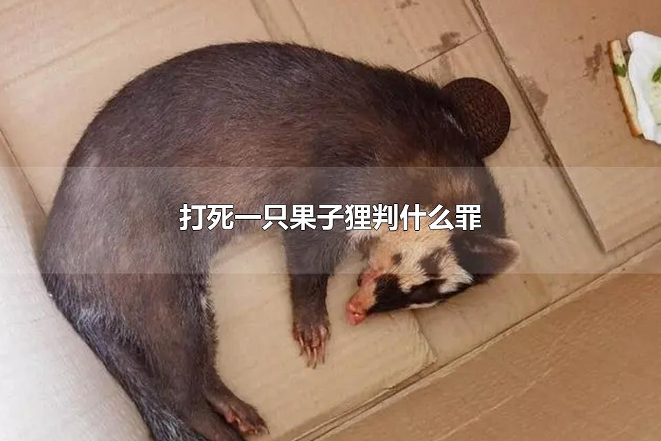 打死一只果子狸判什么罪 果子狸以什么为食