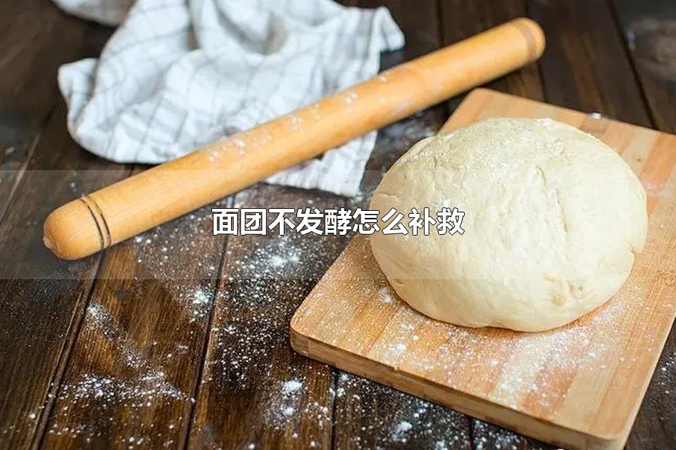 面团不发酵怎么补救 面团要发酵多久