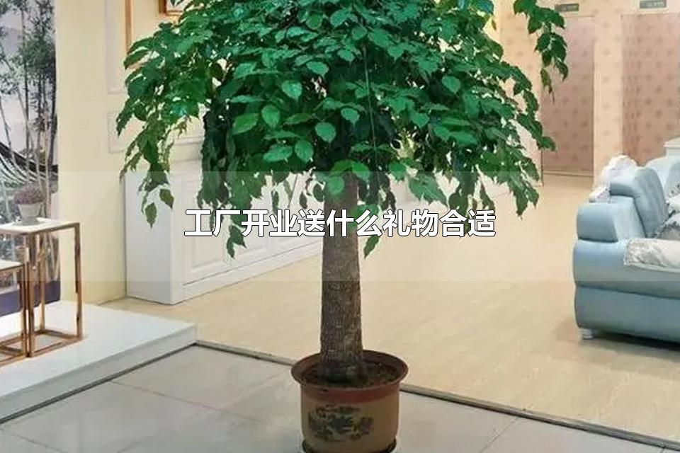 工厂开业送什么礼物合适 开业可以送红包吗