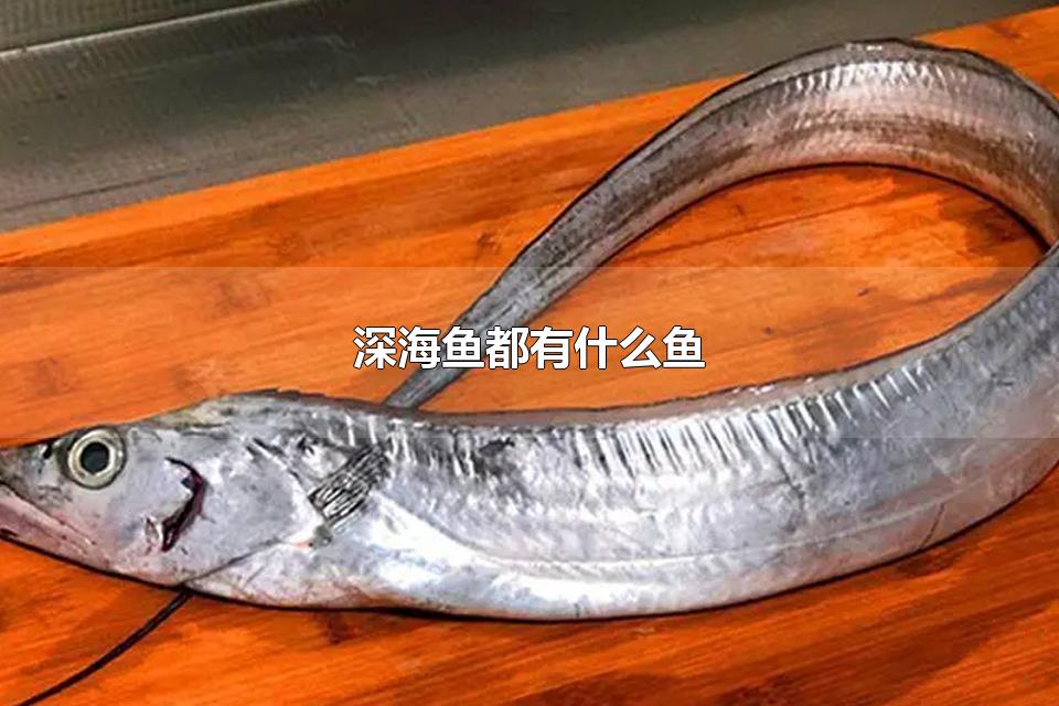 深海鱼都有什么鱼 深海鱼有哪些种类