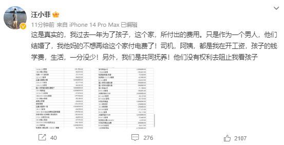 汪小菲回应被大S起诉：我不想再给这个家付电费了
