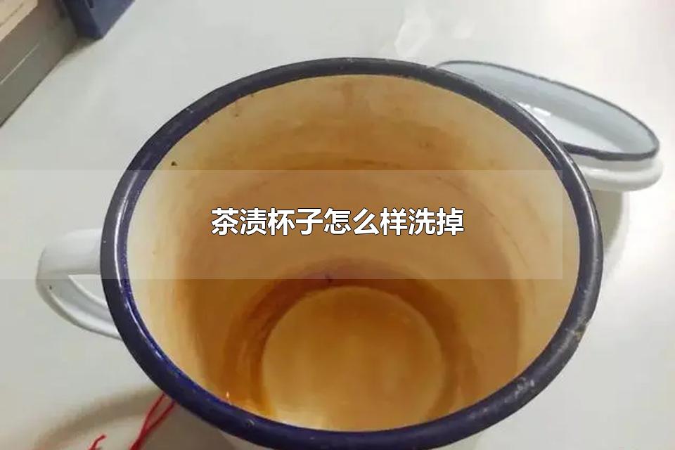 茶渍杯子怎么样洗掉 杯子多久清洗一次