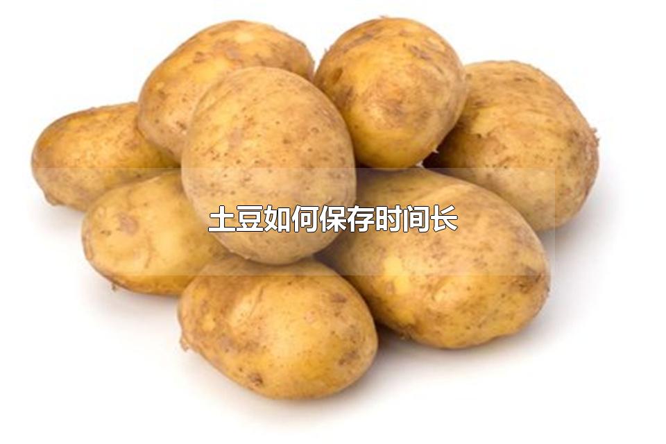 土豆如何保存时间长 土豆需要煮多久才熟