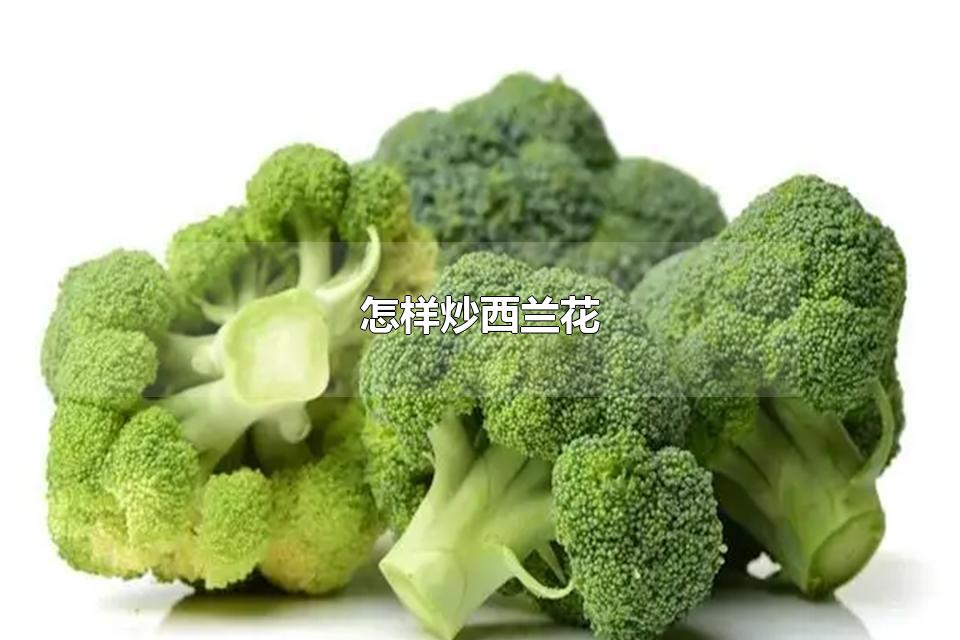 怎样炒西兰花 关于西兰花的介绍