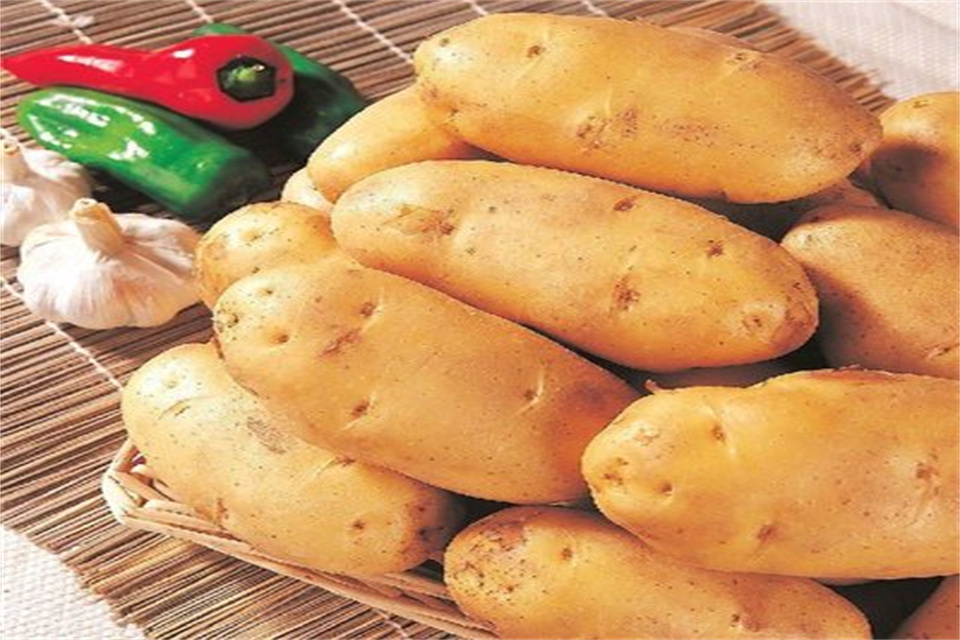 土豆如何保存时间长 土豆需要煮多久才熟