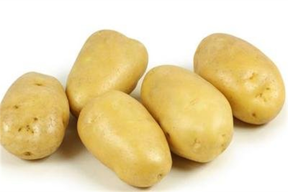 土豆如何保存时间长 土豆需要煮多久才熟