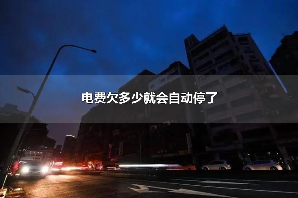 电费欠多少就会自动停了 停电了交费能马上恢复吗