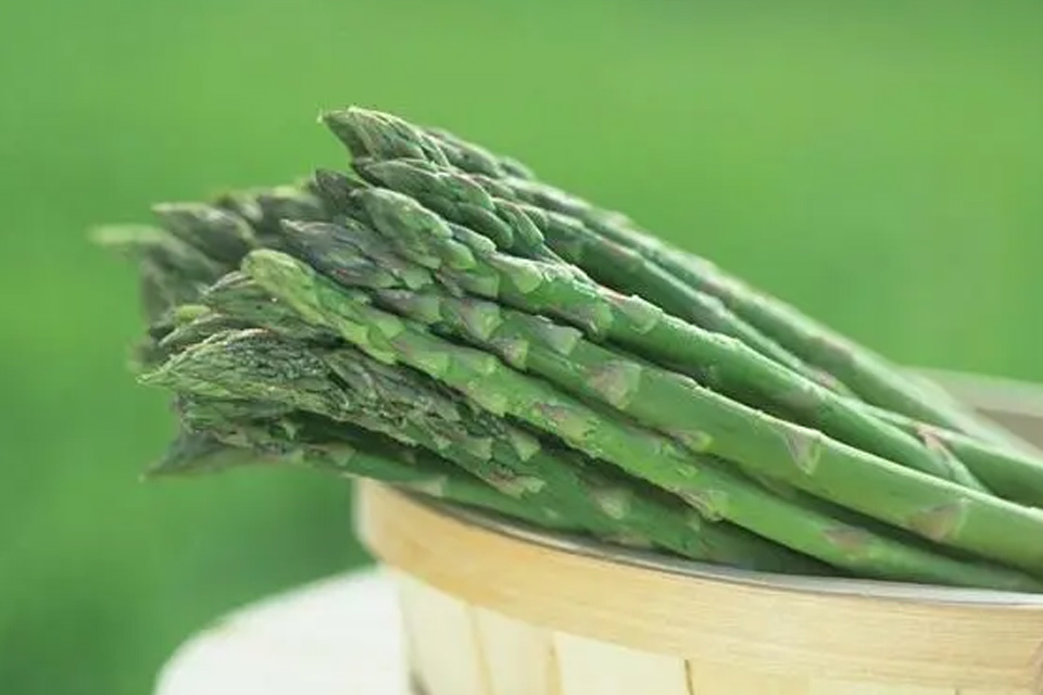 芦笋怎样做又简单又好吃 芦笋怎么吃