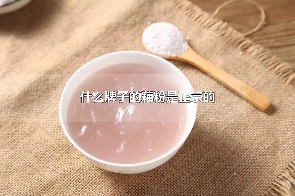 什么牌子的藕粉是正宗的 藕粉怎么吃