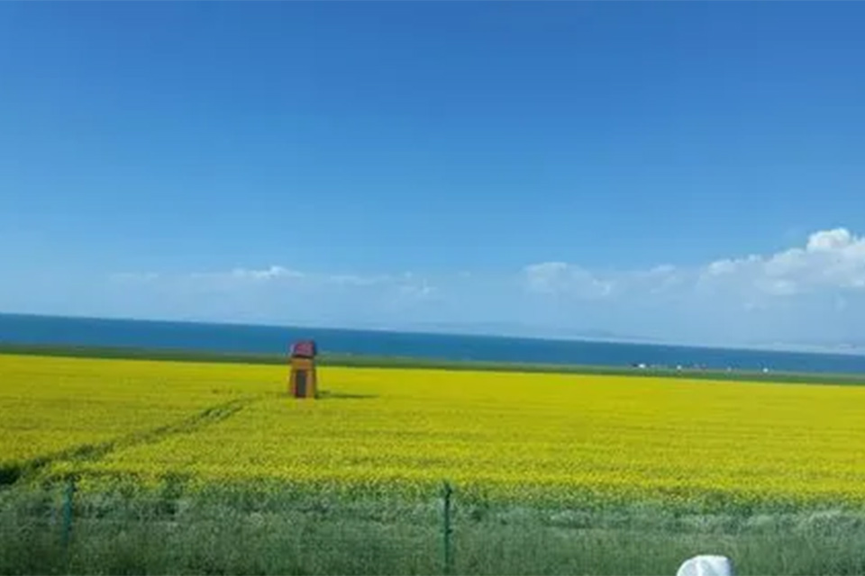 青海省有多大面积 贵州省有多大