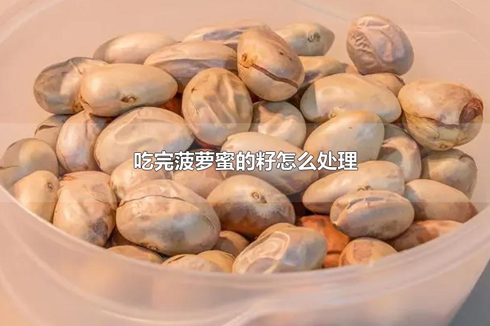 吃完菠萝蜜的籽怎么处理 菠萝蜜可以多吃吗