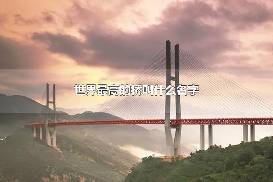 世界最高的桥叫什么名字 桥可分为哪些种类
