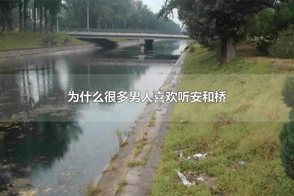 为什么很多男人喜欢听安和桥 男生给女分享安和桥什么意思