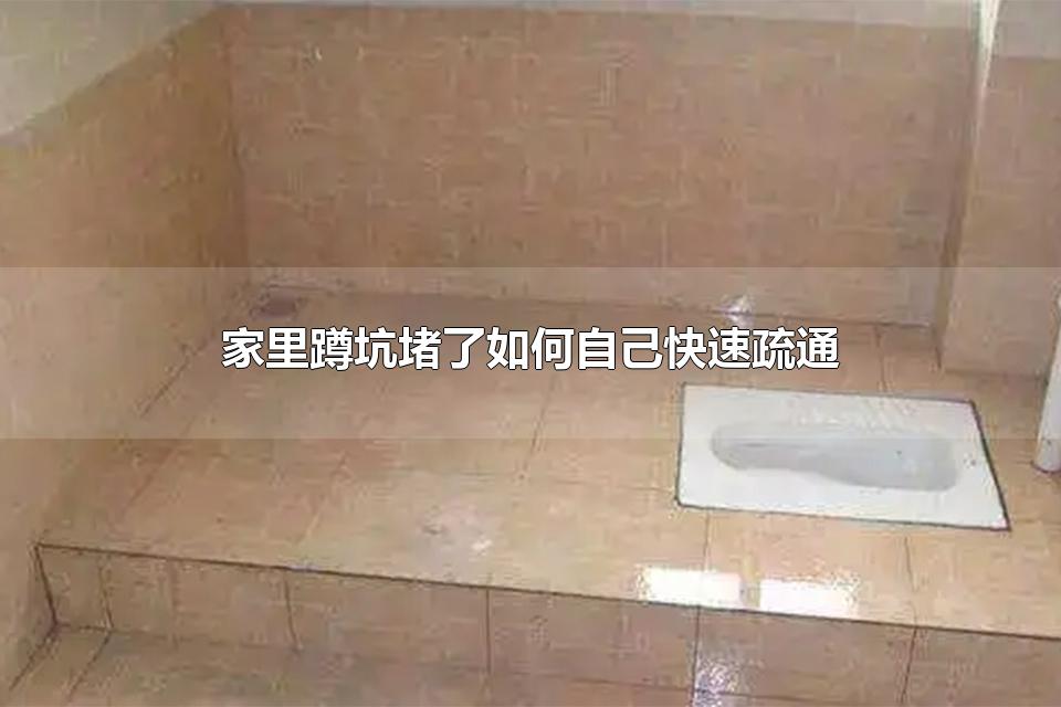 家里蹲坑堵了如何自己快速疏通 蹲厕不堵但下水很慢