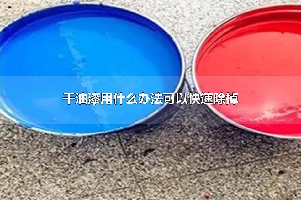 干油漆用什么办法可以快速除掉 干油漆是什么垃圾
