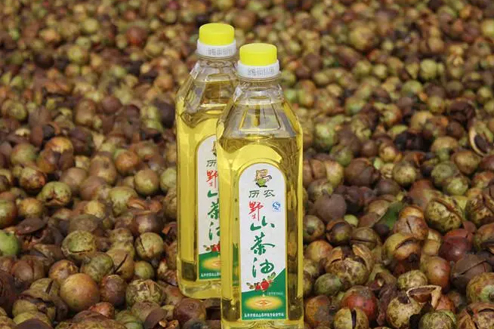卖茶油怎么找客户 中国茶油十大知名品牌
