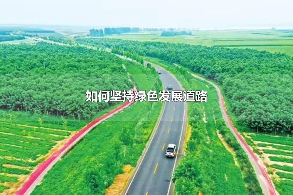 如何坚持绿色发展道路 三个坚定不移