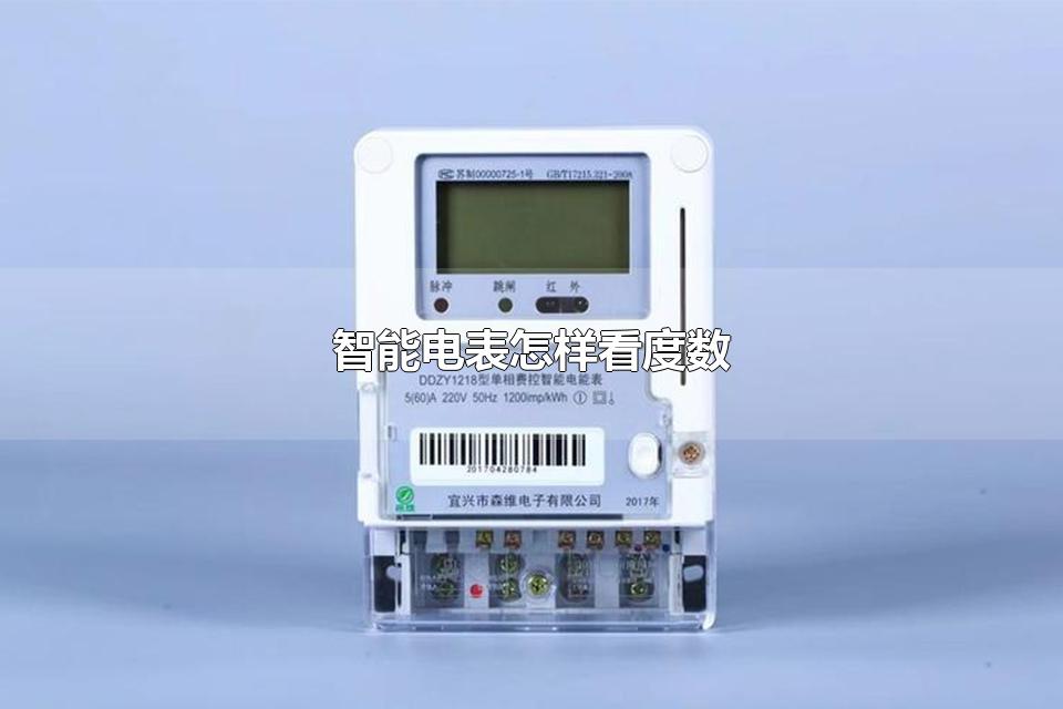 智能电表怎样看度数 智能电表品牌前十名