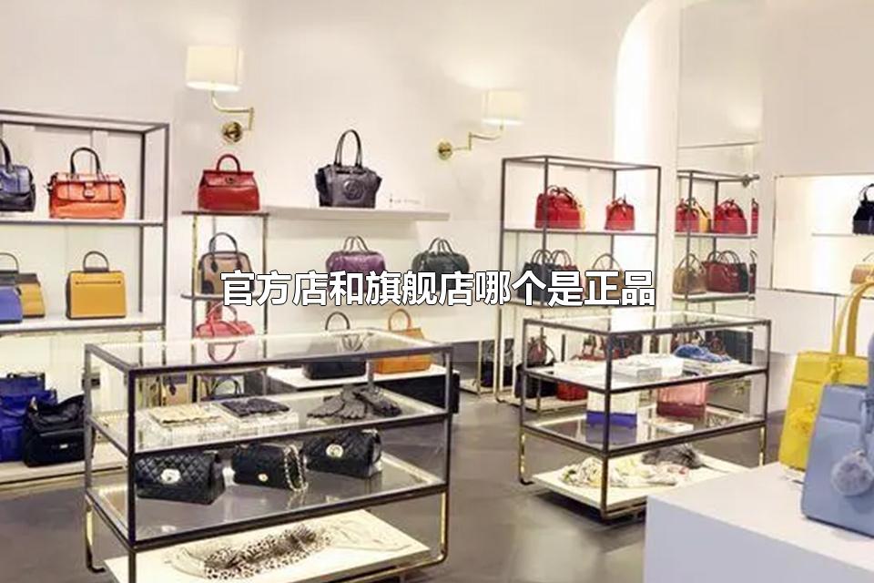 官方店和旗舰店哪个是正品 官方店的好处