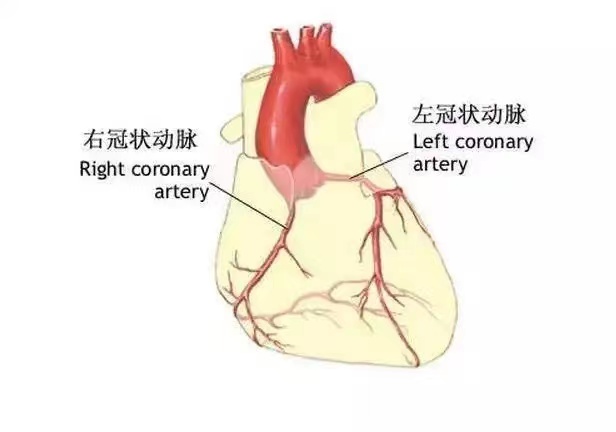 阳后的小伙觉得胸闷就医