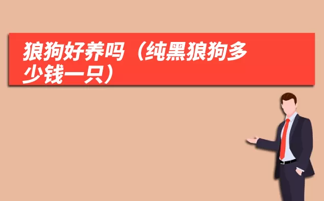 狼狗好养吗(纯黑狼狗多少钱一只)