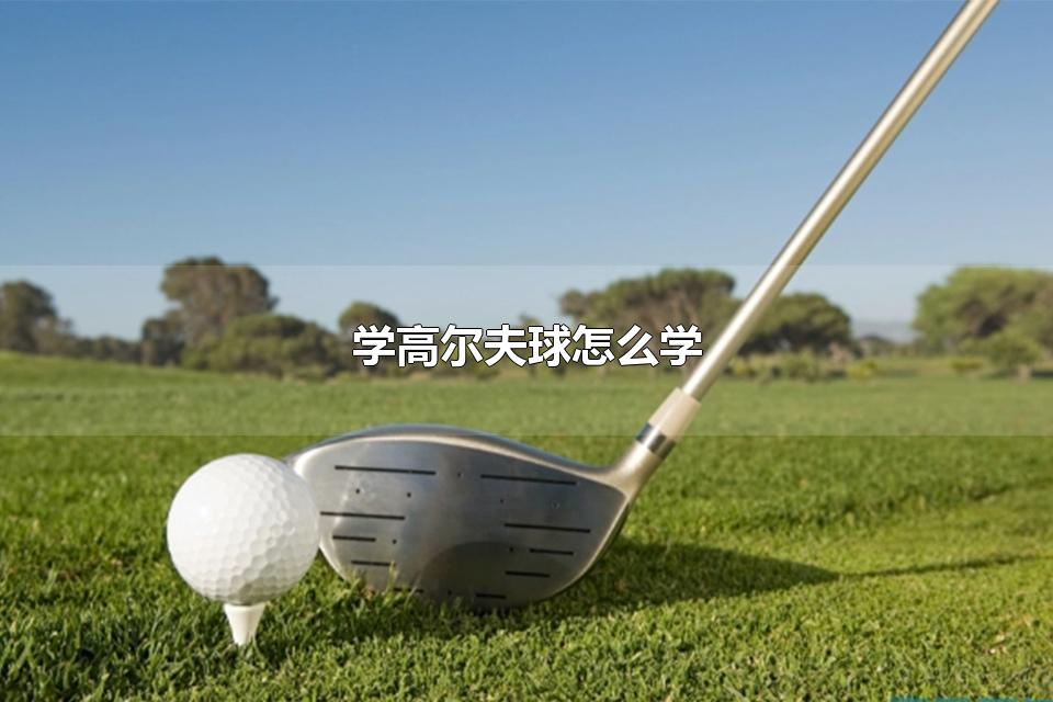 学高尔夫球怎么学 学高尔夫球有啥好处