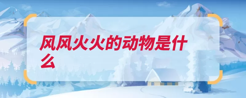 风风火火的动物是什么（猴子风风火火灵长）